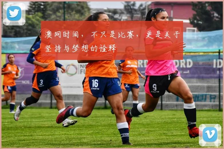 澳网时间，不只是比赛，更是关于坚持与梦想的诠释