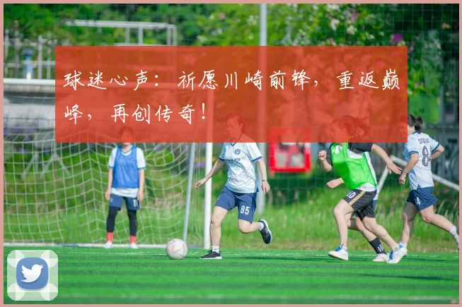 球迷心声:祈愿川崎前锋,重返巅峰,再创传奇!