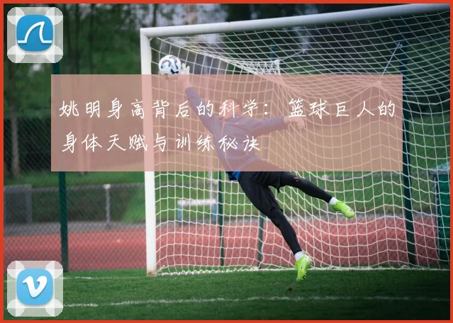 姚明身高背后的科学：篮球巨人的身体天赋与训练秘诀