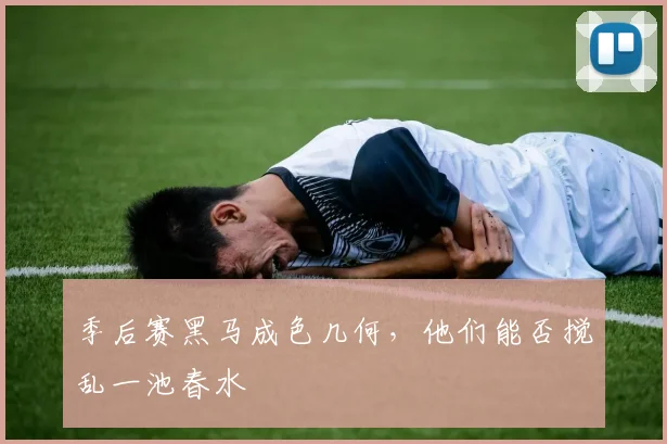 季后赛黑马成色几何,他们能否搅乱一池春水